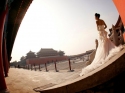 Wedding Photographer